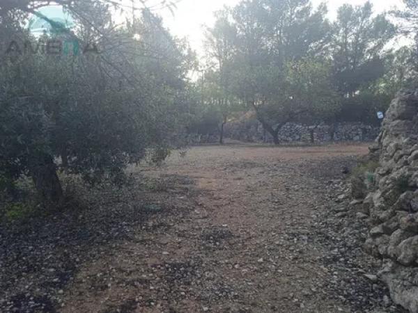 Terreno en Vall de Gallinera