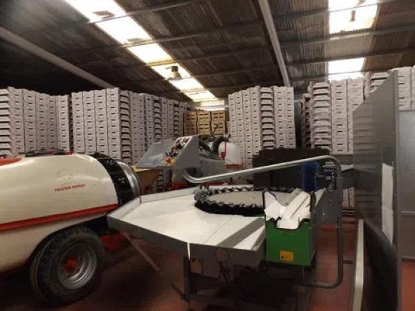 Terreno en Monforte del Cid