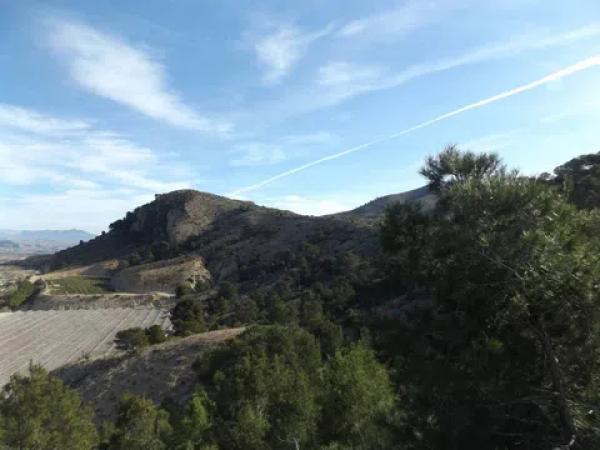 Terreno en Monforte del Cid