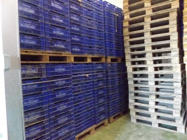 Terreno en Monforte del Cid