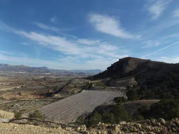 Terreno en Monforte del Cid