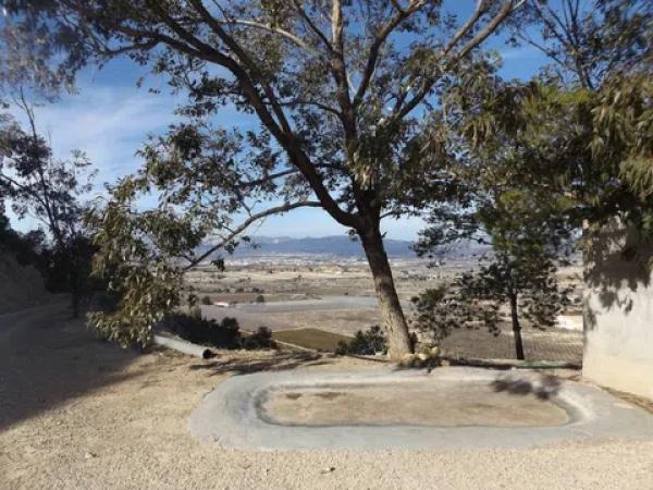 Terreno en Monforte del Cid