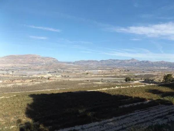 Terreno en Monforte del Cid