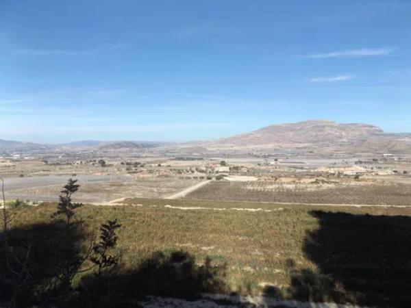 Terreno en Monforte del Cid