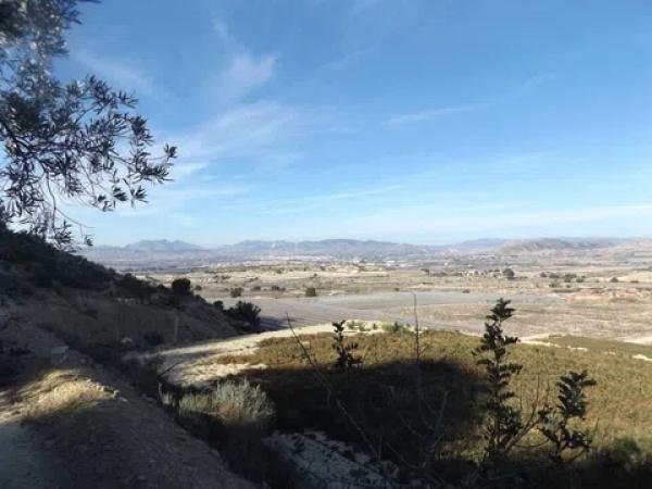 Terreno en Monforte del Cid