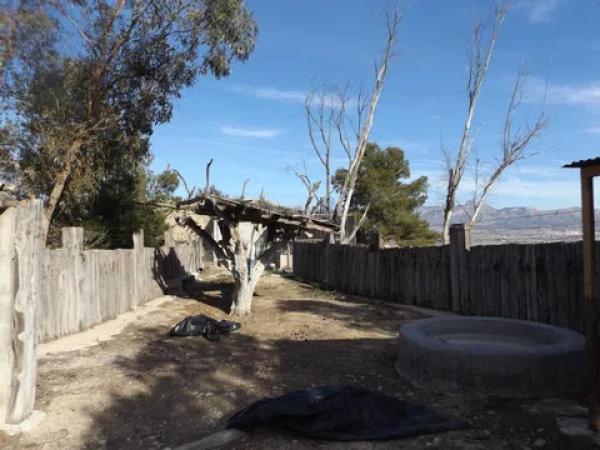 Terreno en Monforte del Cid