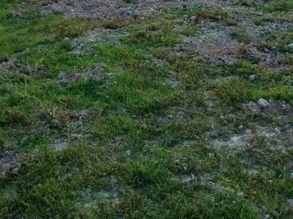 Terreno en camino Cv-700 s/n