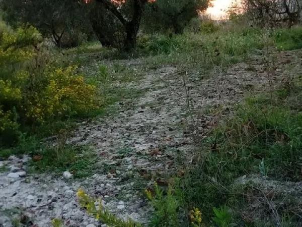 Terreno en camino Cv-700 s/n