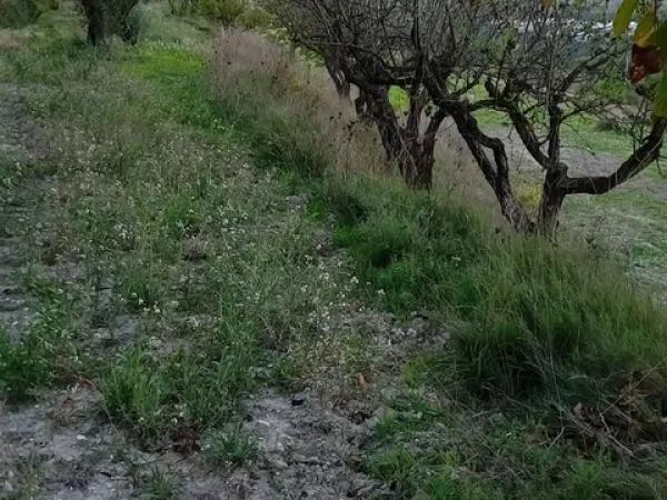 Terreno en camino Cv-700 s/n