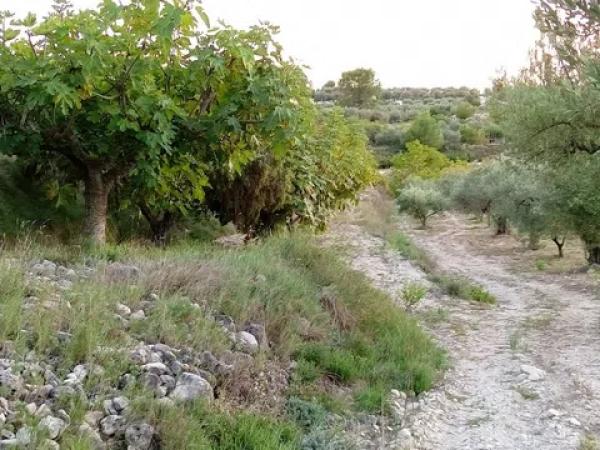 Terreno en camino Cv-700 s/n