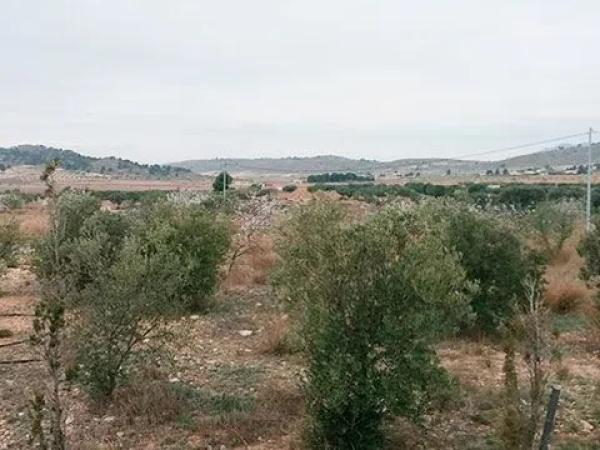 Terreno en Diseminado Casas de Cazorla