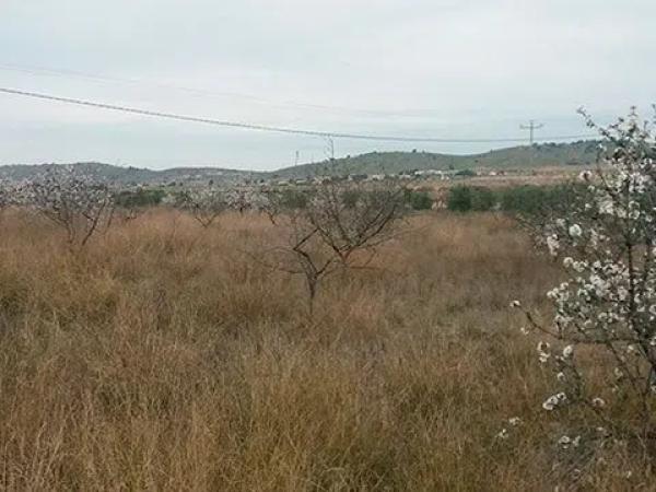 Terreno en Diseminado Casas de Cazorla