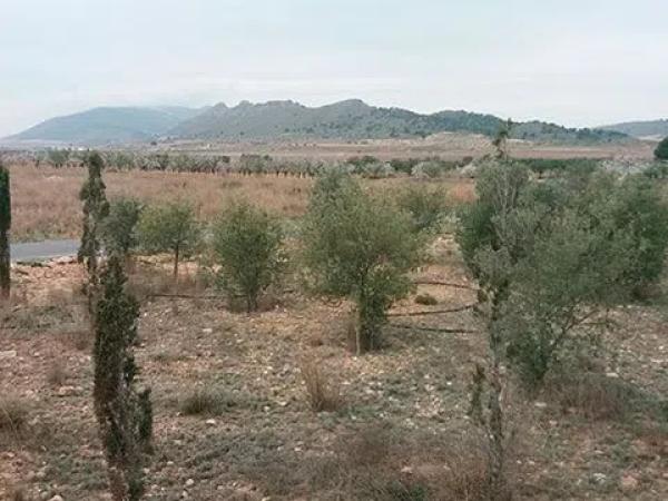 Terreno en Diseminado Casas de Cazorla