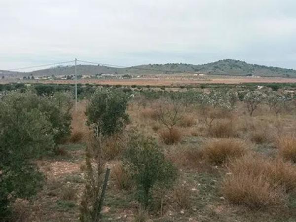 Terreno en Hondón de las Nieves