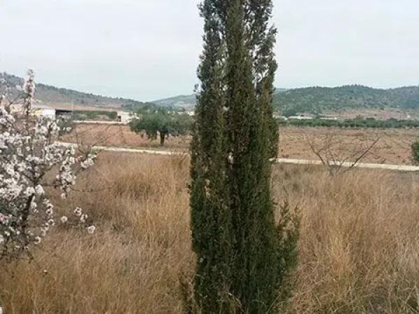 Terreno en Partida la Solana