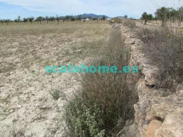 Terreno en Diseminado Ubeda, 25 s/n