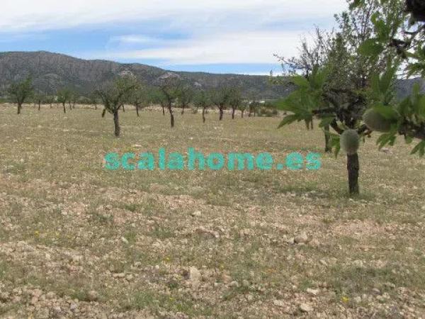 Terreno en Diseminado Ubeda, 25 s/n