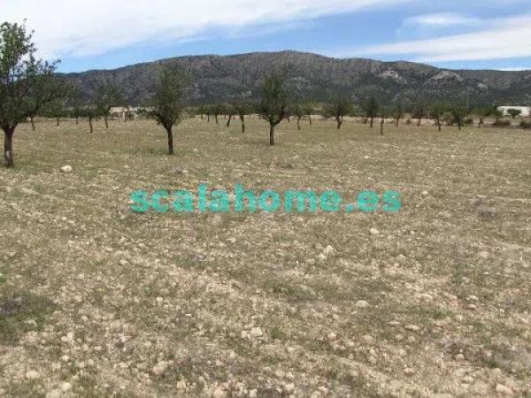 Terreno en Diseminado Ubeda, 25 s/n