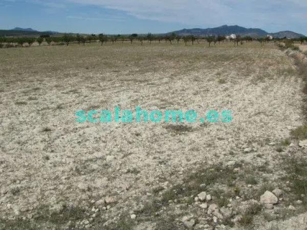 Terreno en Diseminado Ubeda, 25 s/n