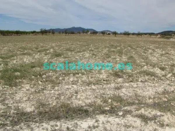 Terreno en Diseminado Ubeda, 25 s/n