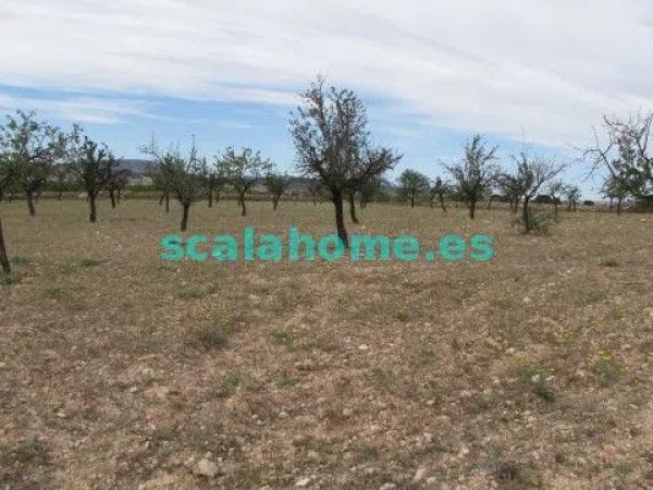 Terreno en Diseminado Ubeda, 25 s/n