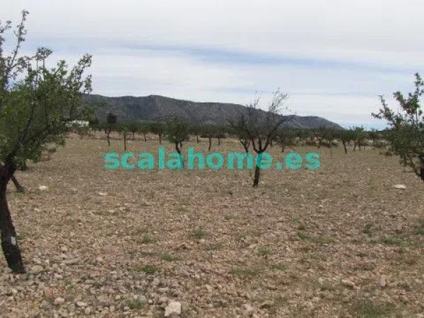 Terreno en Diseminado Ubeda, 25 s/n