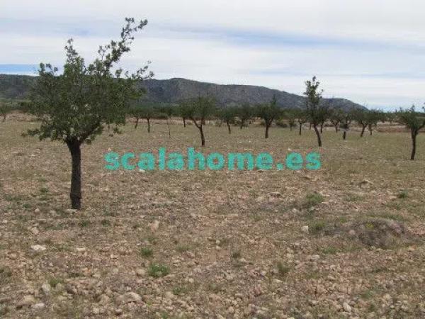 Terreno en Diseminado Ubeda, 25 s/n