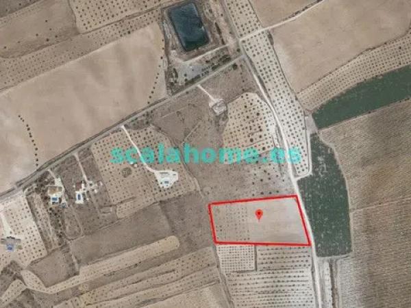 Terreno en Diseminado Ubeda, 25 s/n