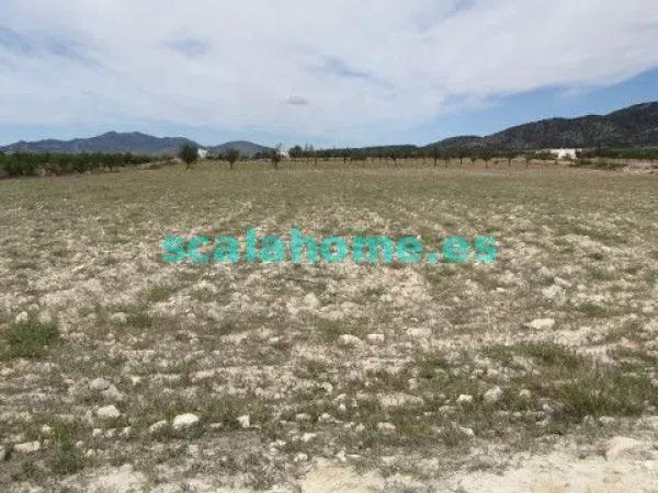 Terreno en Diseminado Ubeda, 25 s/n