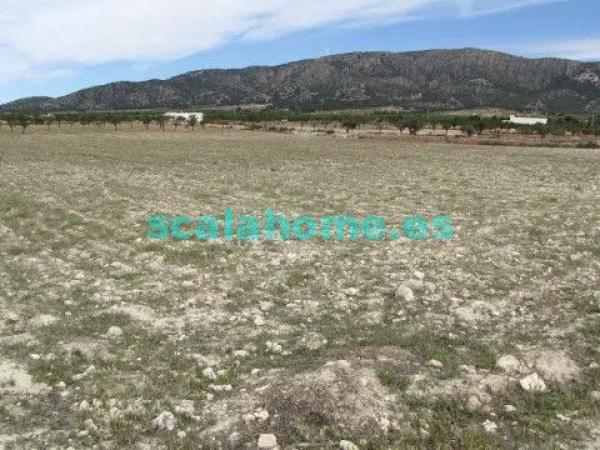 Terreno en Diseminado Ubeda, 25 s/n