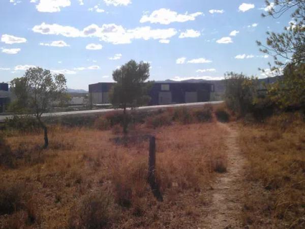 Terreno en via de Alicante, km 210