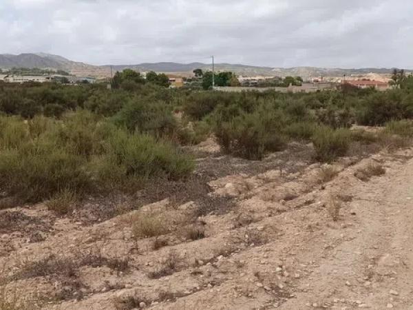 Terreno en Polígon 13, Parcel·la 8, 13