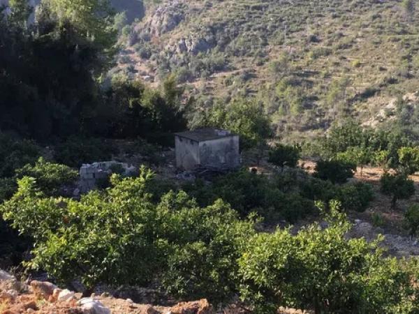 Terreno en Partida Ambra, km 1