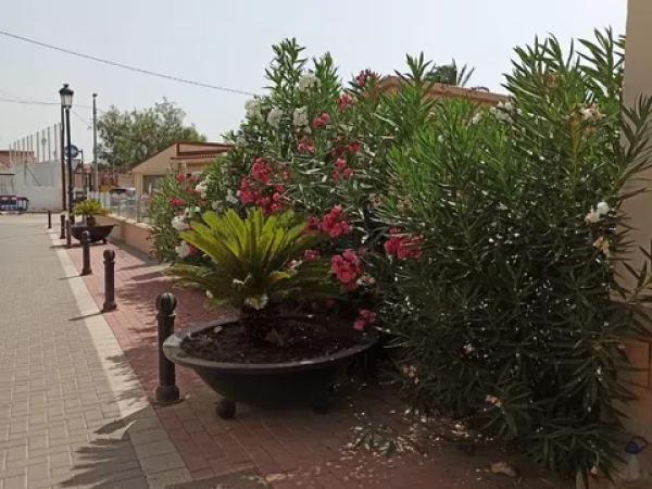 Terreno en calle Pare Claret, 16