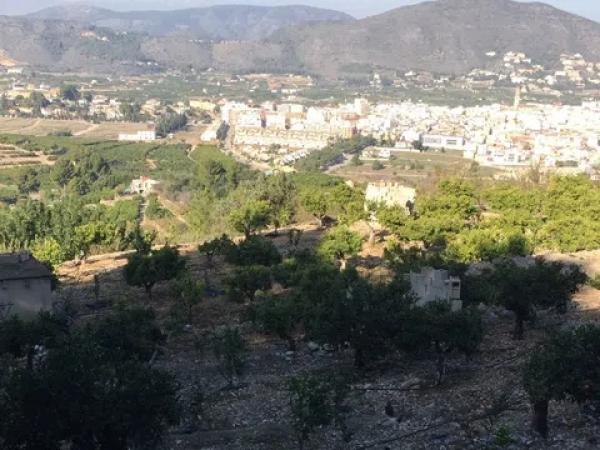 Terreno en Partida Ambra, km 1