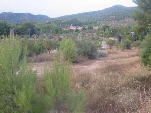 Terreno en Montehigueral s/n