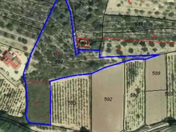 Terreno en Partida La Coma, polígon 4, 594