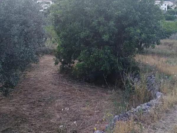 Terreno en carretera Cv-720 s/n