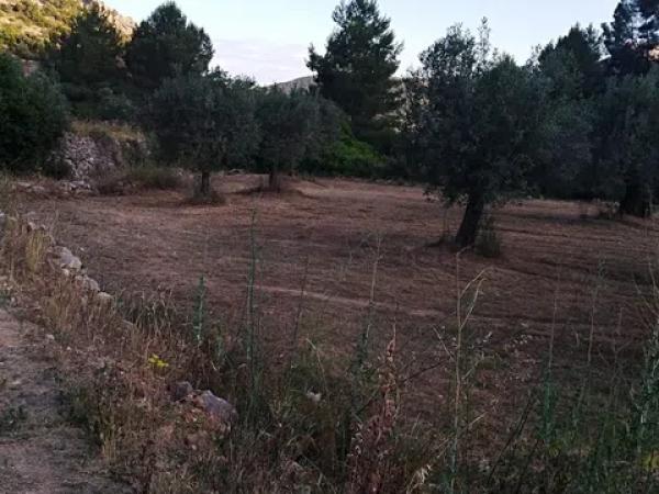 Terreno en carretera Cv-720 s/n