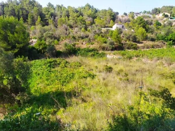 Terreno en Partida La Coma, polígon 4, 594