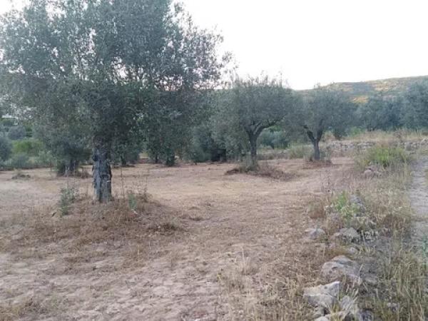 Terreno en carretera Cv-720 s/n