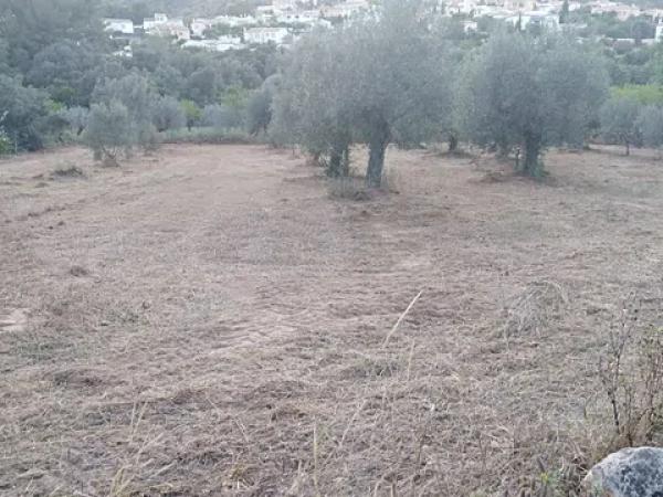 Terreno en carretera Cv-720 s/n