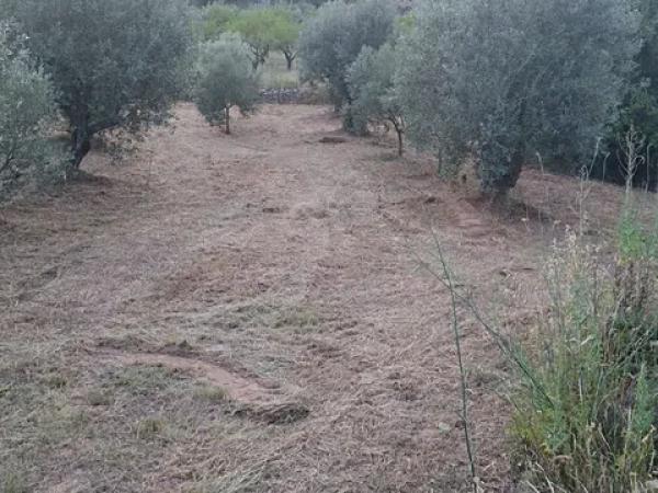 Terreno en carretera Cv-720 s/n