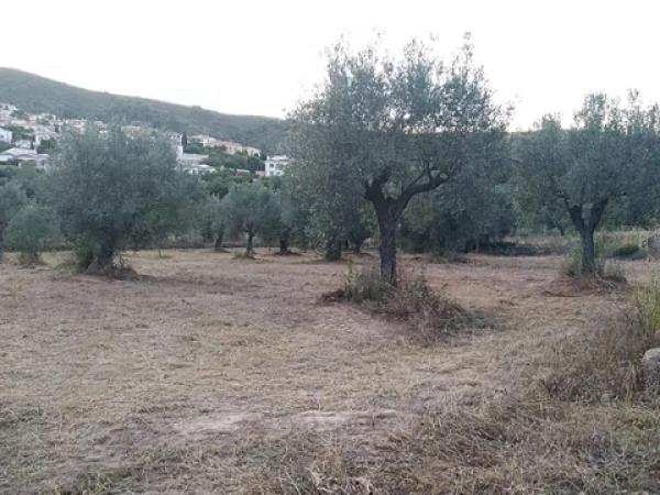 Terreno en carretera Cv-720 s/n