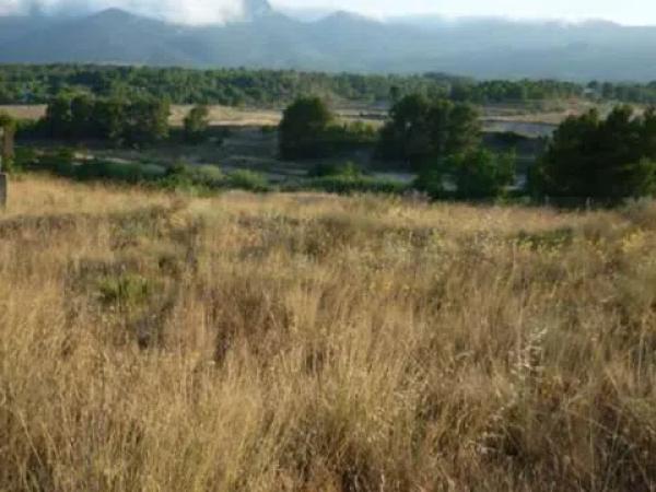 Terreno en calle poeta miguel hernandez, 146 Pârcela C-