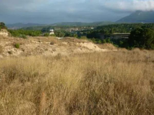 Terreno en calle poeta miguel hernandez, 146 Pârcela C-