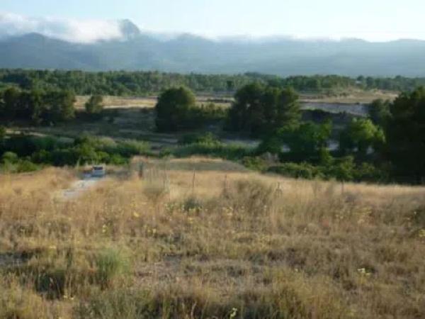 Terreno en calle poeta miguel hernandez, 146 Pârcela C-