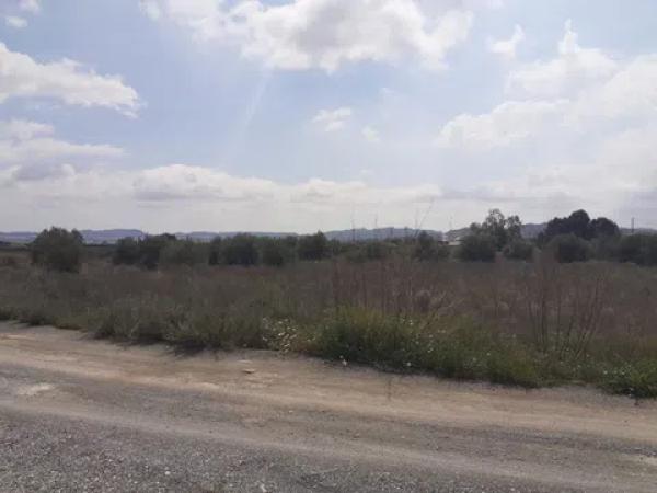 Terreno en camino viejo de novelda s/n