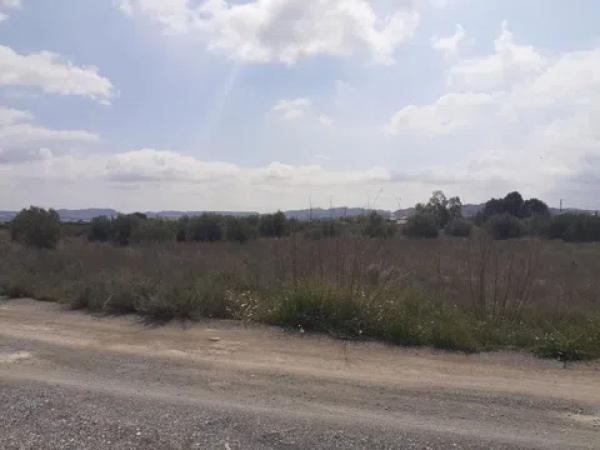 Terreno en camino viejo de novelda s/n