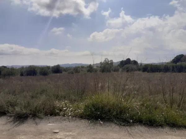 Terreno en camino viejo de novelda s/n